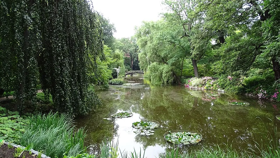 The Wrocław Botanical Garden