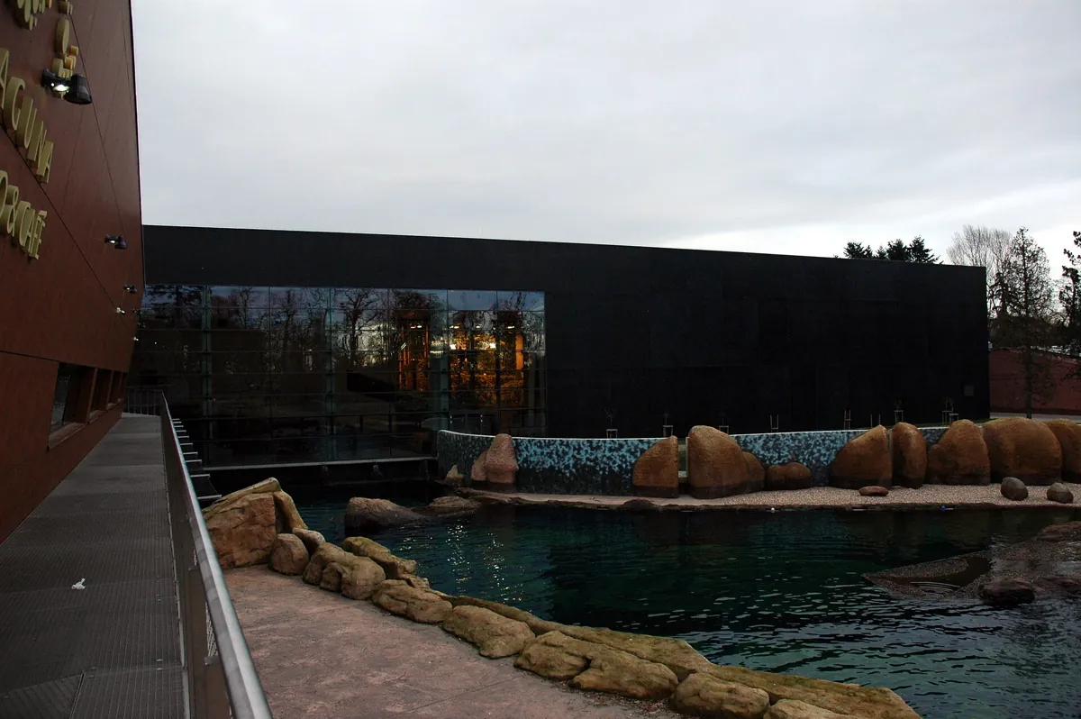 A seal pool at Wrocław Zoo, with rocks and a modern building behind